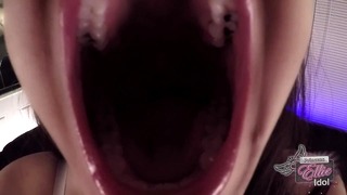 Swallow Adam