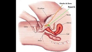 Comment Devenir Une être Femme Fontaine ? Comment Faire Jouir Ta Copine ?